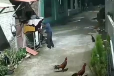 Gasak Burung Pak RT,...