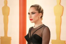 Lady Gaga Tolong Fotografer...