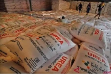 Harga Dunia Naik 3 Kali...