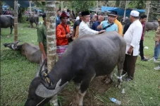 Warga Tabir Jambi Potong...