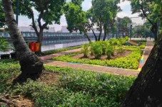 Jakarta Utara Tata Puluhan...