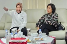 Akrab, Begini Momen...