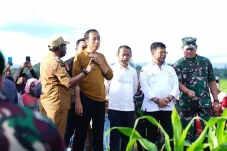 Optimalkan Lahan Tidur,...