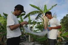 Tingkatkan Produktivitas,...