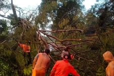 Hujan Disertai Angin...