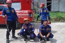 Ngeri! Ular Kobra Jawa...