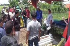Tega! Ayah Setubuhi...