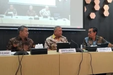 Wakil Sri Mulyani Ungkap...