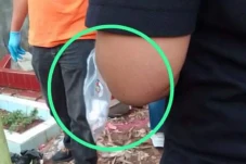 Janin Bayi Terbungkus...