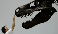 Penelitian Ungkap Dinosaurus...