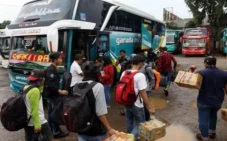 Daftar Harga Tiket Bus...