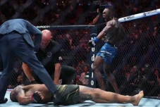 Hasil UFC 278: Luar...