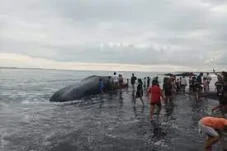 Isyarat Bencana dari...