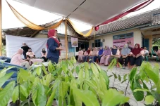 Bantu Perekonomian Keluarga,...