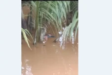 Jenazah Bocah Korban...