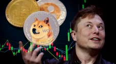 Contek China, Elon Musk...