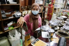 Rekomendasi 6 Tempat...