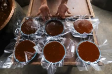 Mudik ke Kampung Halaman,...