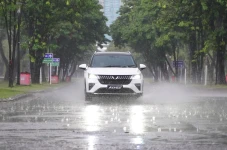 1.000 Unit Wuling Alvez...
