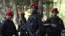 Dansat 81 Kopassus yang...
