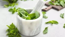 7 Manfaat Daun Mint...