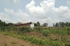 PTPN III Komitmen Menjaga...