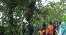Rem Blong! 2 Wisatawan...