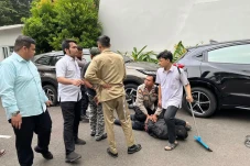 Berasal dari Lampung,...