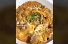 Resep Oyakodon, Makanan...