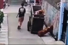 Beri Efek Jera, Tukang...