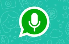 Bug WhatsApp Terdeteksi...
