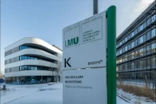 15 Universitas Terbaik...