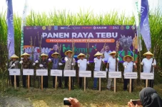 Program Agrosolution...
