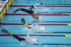 Fin Swimming Kembali...