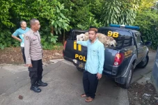 Polisi Selamatkan 7...