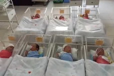Pertumbuhan Penduduk...
