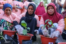 Emak-emak Budi Daya...