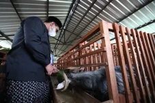 Pemprov Jateng Akselerasi...