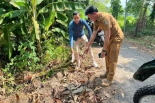 Aparat Desa Temukan...