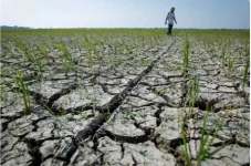 El Nino Bakal Pengaruhi...