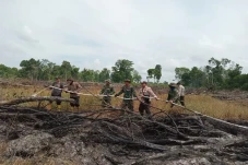 Ayah dan Anak di Riau...