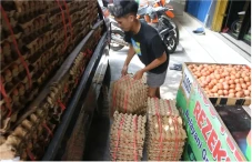 Harga Telur Ayam Melejit,...