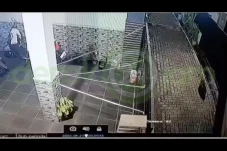 Heboh Video Babi Ngepet...