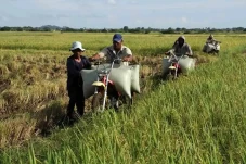 Ini Tiga Penyebab yang...