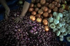 Harga Bawang Putih Tembus...