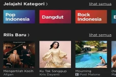 5 Alasan Kenapa Kamu...