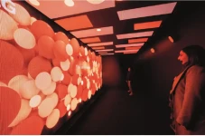 Festival Vivid Sydney...