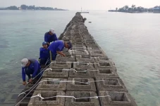 Pemecah Ombak Pulau...