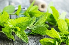 7 Manfaat Daun Mint...