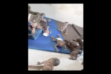 Tragis! Terjebak Peperangan,...